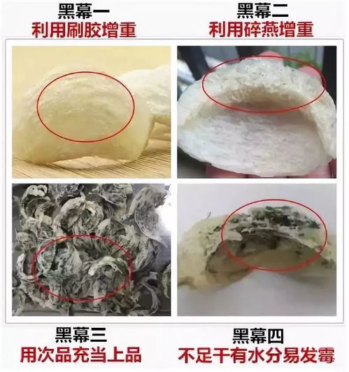 燕窝别乱买 资深燕窝达人教你手把手买到好燕窝